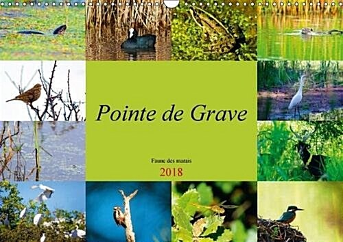 Pointe De Grave - Faune Des Marais 2018 : Un Petit Apercu De La Faune Des Marais De La Pointe De Grave (Calendar, 2 ed)