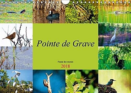 Pointe De Grave - Faune Des Marais 2018 : Un Petit Apercu De La Faune Des Marais De La Pointe De Grave (Calendar, 2 ed)