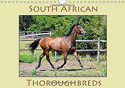 South African Thoroughbreds 2018 : Photographs of South African Thoroughbred Horses. (Calendar, 2 ed)