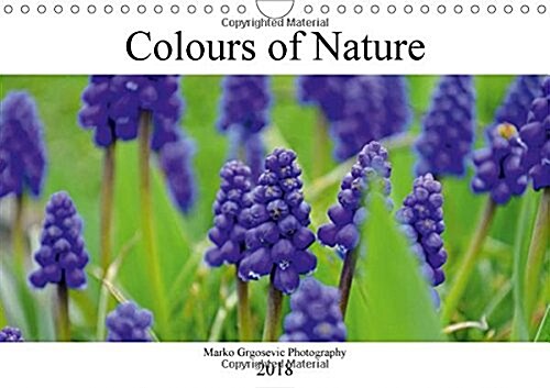 Colours of Nature 2018 : Beautiful Flowers and Plants (Calendar, 2 ed)
