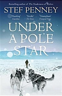 Under a Pole Star : Shortlisted for the 2017 Costa Novel Award (Paperback)