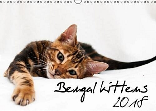 Bengal Kittens 2018 2018 : Wonderful Moments with Bengal Kittens (Calendar, 2 ed)