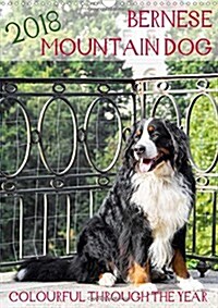 Bernese Mountain Dog - Colourful Through the Year 2018 : Portraits of a Bernese Mountain Dog (Calendar, 2 ed)