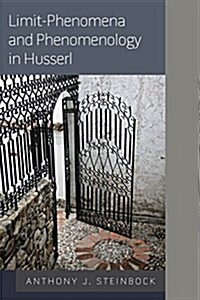 Limit-Phenomena and Phenomenology in Husserl (Hardcover)