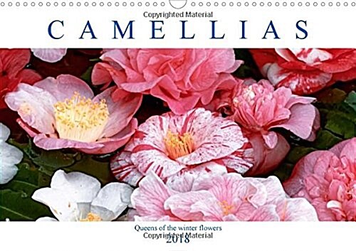 Camellias 2018 : Queens of the Winter Flowers (Calendar)
