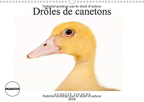 Droles De Canetons 2018 : Dadorables Canetons (Calendar, 2 ed)