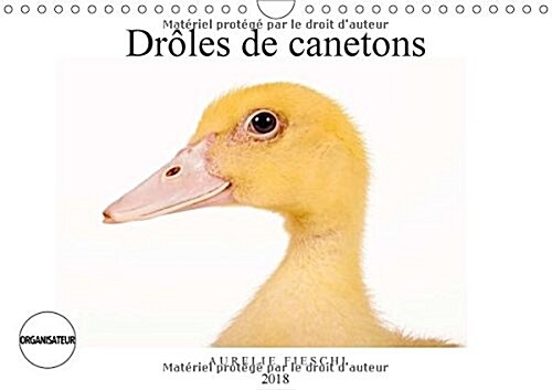 Droles De Canetons 2018 : Dadorables Canetons (Calendar, 2 ed)