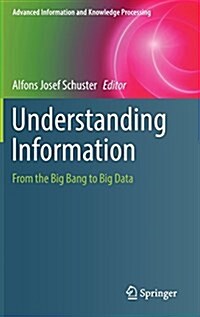 Understanding Information: From the Big Bang to Big Data (Hardcover, 2017)