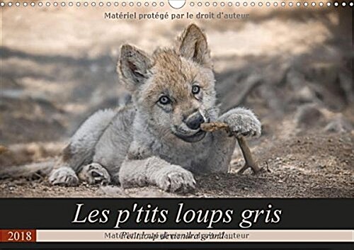 Les Ptits Loups Gris 2018 : Petit Loup Deviendra Grand ... (Calendar, 2 ed)