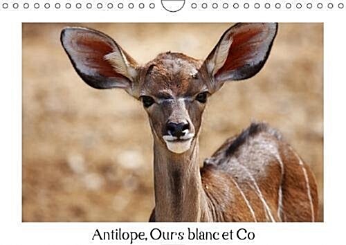 Antilope, Ours Blanc Et Co 2018 : Animaux a Letat Sauvage (Calendar, 2 ed)