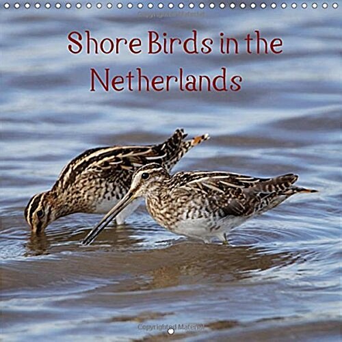 Shore Birds in the Netherlands 2018 : The Beauty of Our Wonderful Nature (Calendar, 2 ed)