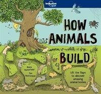 How Animals Build (Hardcover)