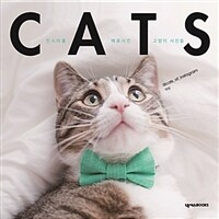 캐츠 =인스타를 매료시킨 고양이 사진들 /Cats 