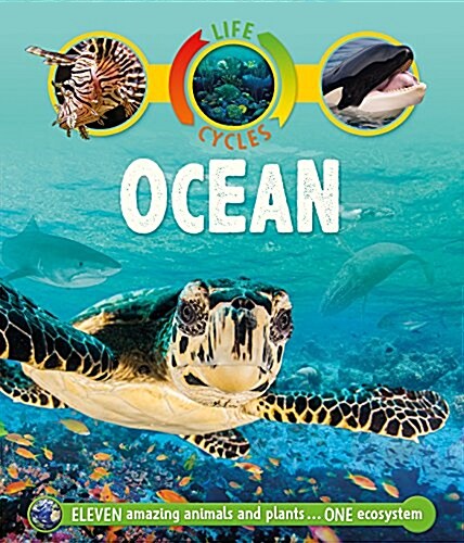 Life Cycles: Ocean (Hardcover)