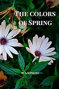 The Colors of Spring: made in Israel (Paperback)