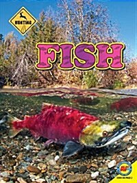 Fish (Paperback)