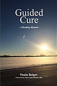 Guided Cure (Paperback)