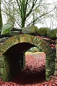 An Ancient Moss Covered Stone Bridge in Autumn Journal: 150 Page Lined Notebook/Diary (Paperback)