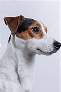 An Adorable Jack Russell Terrier in Profile Dog Pet Journal: 150 Page Lined Notebook/Diary (Paperback)