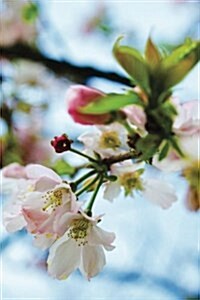 Journal: Cherry Blossoms, Vancouver, 6x9, 150 Lined Sheets (Paperback)