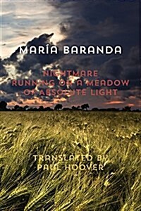 Nightmare Running on a Meadow of Absolute Light (Paperback)