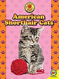 American Shorthair Cats (Library Binding)