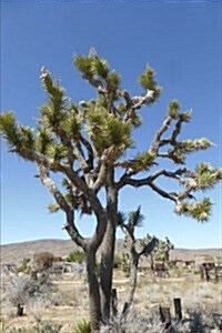 A Joshua Tree in the Mohave Desert in California USA Journal: 150 Page Lined Notebook/Diary (Paperback)