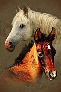 A White Horse and a Bay Foal: Drawing of Two Horses Illustration Journal: 150 Page Lined Notebook/Diary (Paperback)