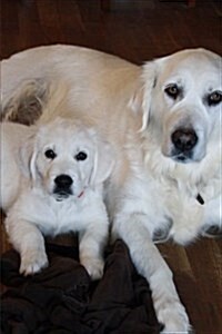 Mom and Baby Puppy Golden Retriever Dogs Pet Journal: 150 Page Lined Notebook/Diary (Paperback)