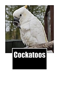 Cockatoos: Stylish Journal / Notebook 150 Lined Pages (Paperback)