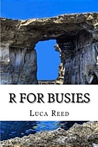R for Busies (Paperback)