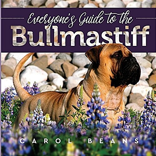 Everyones Guide to the Bullmastiff (Paperback)