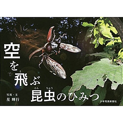 空を飛ぶ昆蟲のひみつ (大型本)