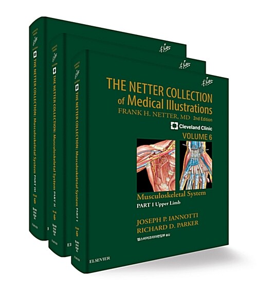 The Netter Collection 근육뼈대계통 - 전3권