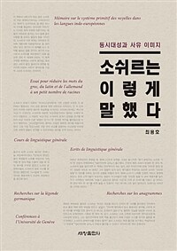 소쉬르는 이렇게 말했다 :동시대성과 사유 이미지 