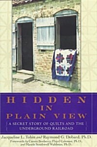 Hidden in Plain View (Hardcover, 1st)