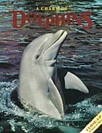 A Charm of Dolphins (Paperback)