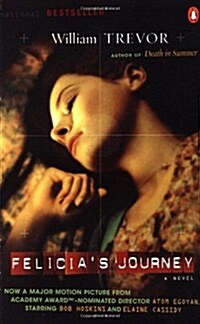 Felicias Journey (Paperback)