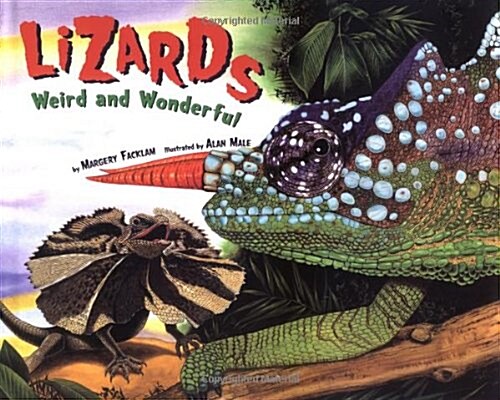 Lizards (School & Library)