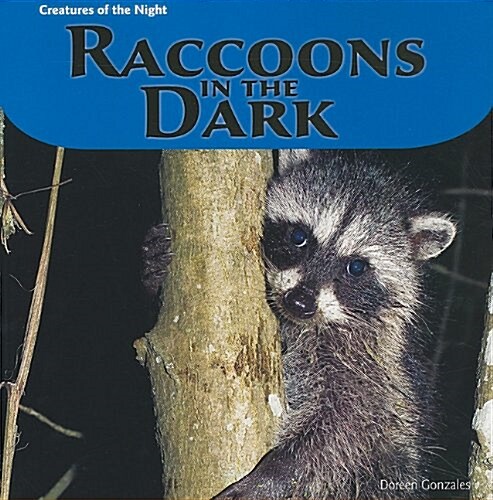 Raccoons in the Dark (Paperback)
