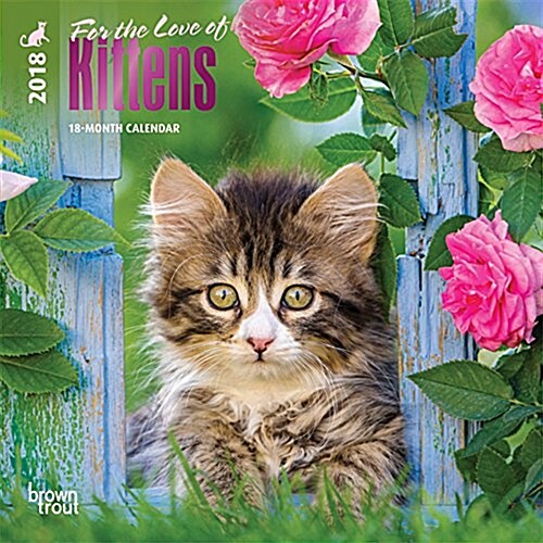 For the Love of Kittens 2018 Calendar (Calendar, Mini, Wall)