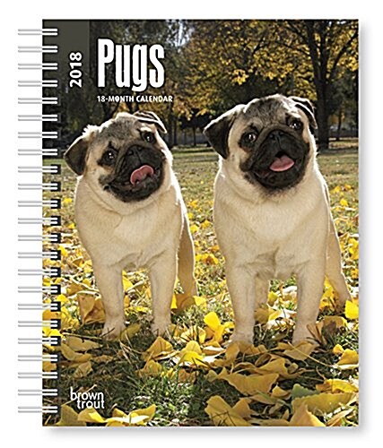 Pugs 2018 Calendar (Calendar, Engagement)