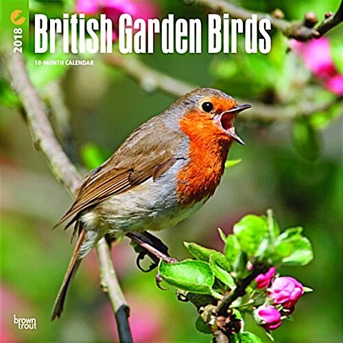 British Garden Birds 2018 Calendar (Calendar, Wall)