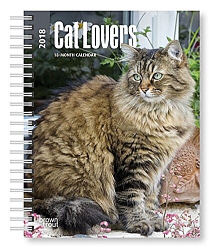 Cat Lovers 2018 Calendar (Calendar, Engagement)