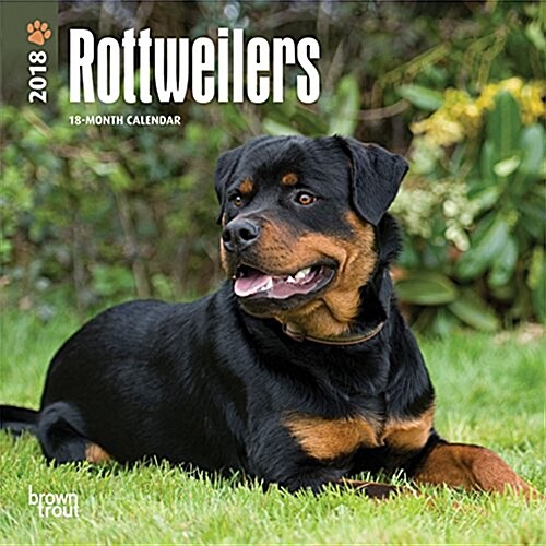 Rottweilers 2018 Calendar (Calendar, Mini, Wall)