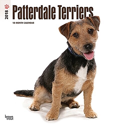 Patterdale Terriers 2018 Calendar (Calendar, Wall)