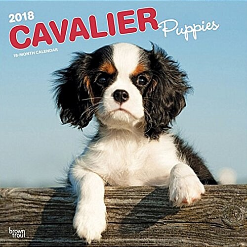 Cavalier King Charles Spaniel Puppies 2018 Calendar (Calendar, Wall)