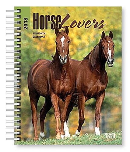 Horse Lovers 2018 Calendar (Calendar, Engagement)