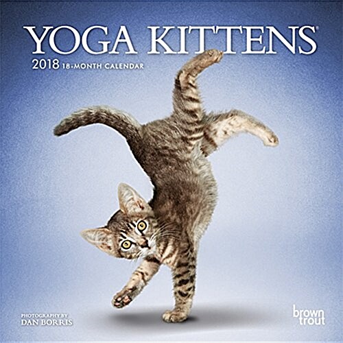 Yoga Kittens 2018 Calendar (Calendar, Mini, Wall)