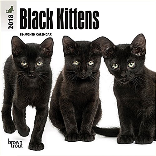 Black Kittens 2018 Calendar (Calendar, Mini, Wall)